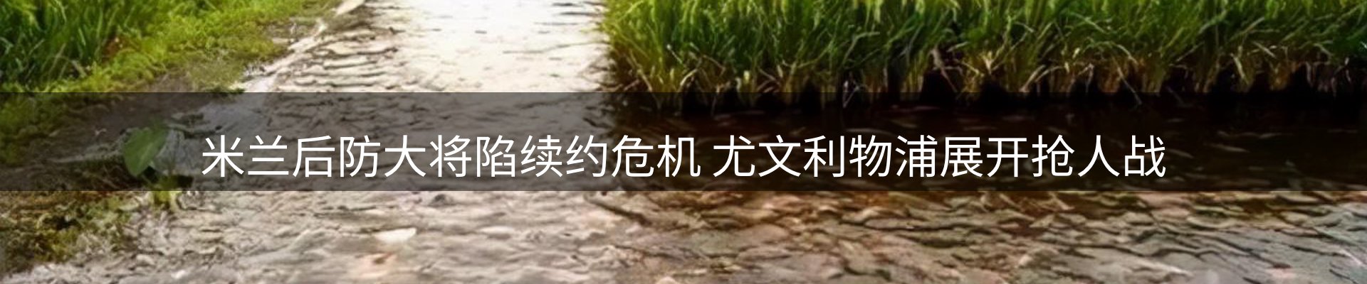 内页banner